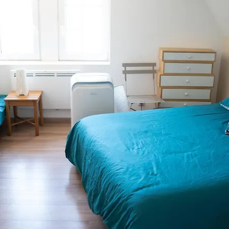 Lägenhet Secret Mama With Aircon Including A Parking Space At 200 Meters Colmar