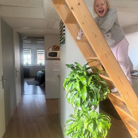 Lejlighed Secret Mama With Mobile Aircon, Including A Free Parking Space At 200 Meters Colmar