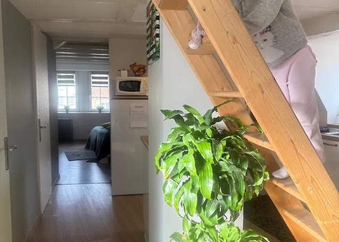 Lejlighed Secret Mama With Mobile Aircon, Including A Free Parking Space At 200 Meters Colmar